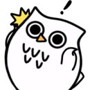 하이멍 애견카페 이미지