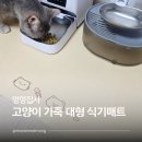 하루멍멍 | 고양이식탁 멍멍집사고양이매트 사료흘림방지매트 실사용 후기