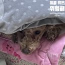 상암로 61길 이미지