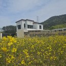 선암스테이 이미지