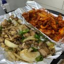 산꼼장어 이미지