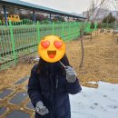 광천평택토굴새우젓상회 이미지