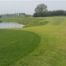 대식당(마에스트로) 이미지