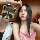 허니바우 | 여행코스추천(3일차) - 원강희과자점, 유리횟집, 바우카페, 동화가든, 순두부젤라또, 툇마루, 솔방울...