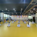 용인대골드태권도장 이미지