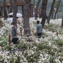 이른오후 이미지