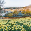 구항면 내현마을회관 이미지