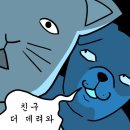 냥아 이미지