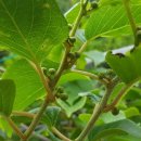 방우농장 이미지