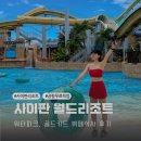 사이판 월드리조트 워터파크 골드카드 뷔페 후기 공항무료픽업