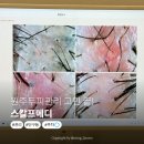 강원메디 | 원주두피관리 고민 끝! 스칼프메디에서 두피 컨디션 확 달라진 후기