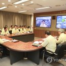 링링 이미지