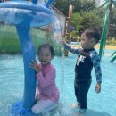 한내근린공원 이미지