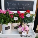 그라시아플라워 이미지