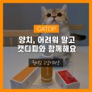 온니캣(ONLY CAT) | 고양이 양치 루틴 완성! CATDP 고양이 치약·고양이 칫솔 사용 후기