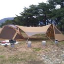 소야 솔밭 이미지