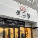샌디담 이미지