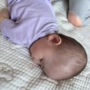 시흥 월곶 분위기 좋은 카페 추천 | 씬노리터