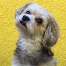 모현동물병원 이미지