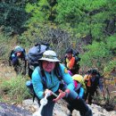 마치1리 경로당 이미지