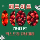 행복애짐 | 강남대pt 넥스트짐 강남대점-레드비트 효능 알아보기