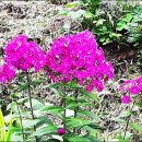 김영환농장 이미지