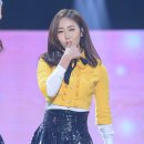 신비체육관 이미지