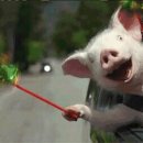 아,귀여워 이미지