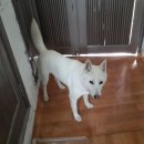 우리아이 이미지