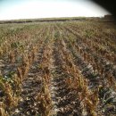 성덕농장 이미지