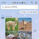 김천상무 첫 직관! 230610 김천상무VS안산그리너스⚽️