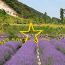 무릉이가 이미지