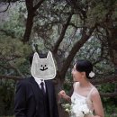 강아지정원 | W2-5 소피소 스튜디오 촬영 후기 / 야외 정원 (feat. 강아지 동반)