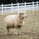 AM모텔(AM호텔) 이미지