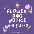 꽃개 | [애견운동장🐾] 신나게 달려 보개! - 꽃개 (위치, 주차장, 후기)
