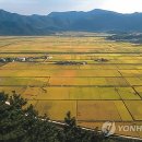 한국경제(2013.04.05)+연합뉴스(작년 농지전용면적 1만2천677㏊…전년보다 4.9% 감소) 이미지