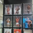 화이트짐 용인 동백점 | 용인PT 재활PT 용인헬스장 화이트짐 용인동백점 (이정환 트레이너쌤 후기)