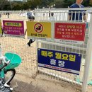 울산대공원 남문 뜀동산 그물놀이터 주말 방문후기