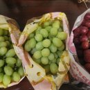 포도마을약국 이미지