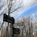 관악산 무장애숲길 | 산책할까요? 운동이면 더 조쿠요~2026.0106. 관악산무장애숲길