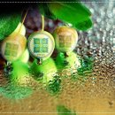 아낌없이주는나무 이미지