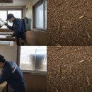 평택식당 - 안성시 | 평택식당