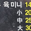 쭌짬뽕 이미지