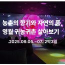 한맘미래노동조합 | 2025 영월 귀농귀촌 2박3일 살아보기 체험 프로그램 생생후기