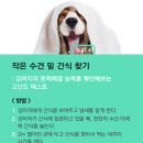 코랜 이미지