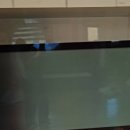 에코키즈스테이 이미지