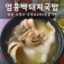 부산광역시 수영구청 대강당 | 부산 수영 국밥 맛집 엄용백돼지국밥 본점 후기 웨이팅 주차 총정리