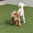 프릿토핏 이미지