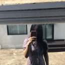 금능124 이미지