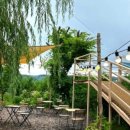 아리산스테이지 이미지